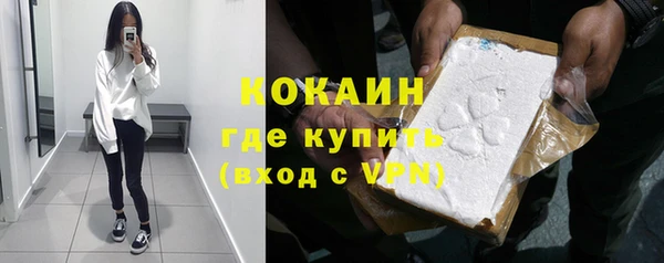 индика Армянск