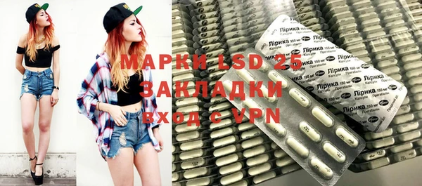 индика Армянск