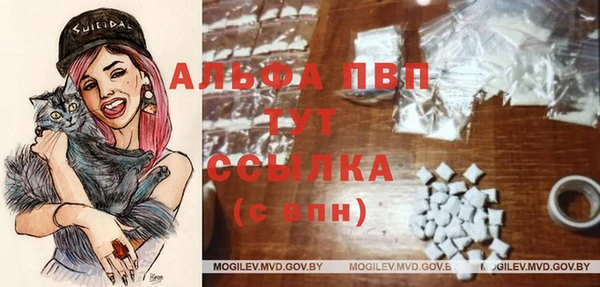 индика Армянск