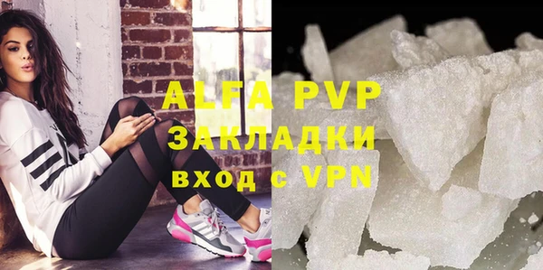 индика Армянск