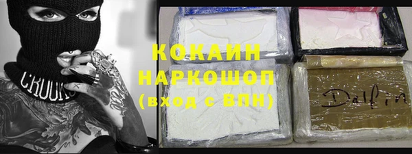 индика Армянск